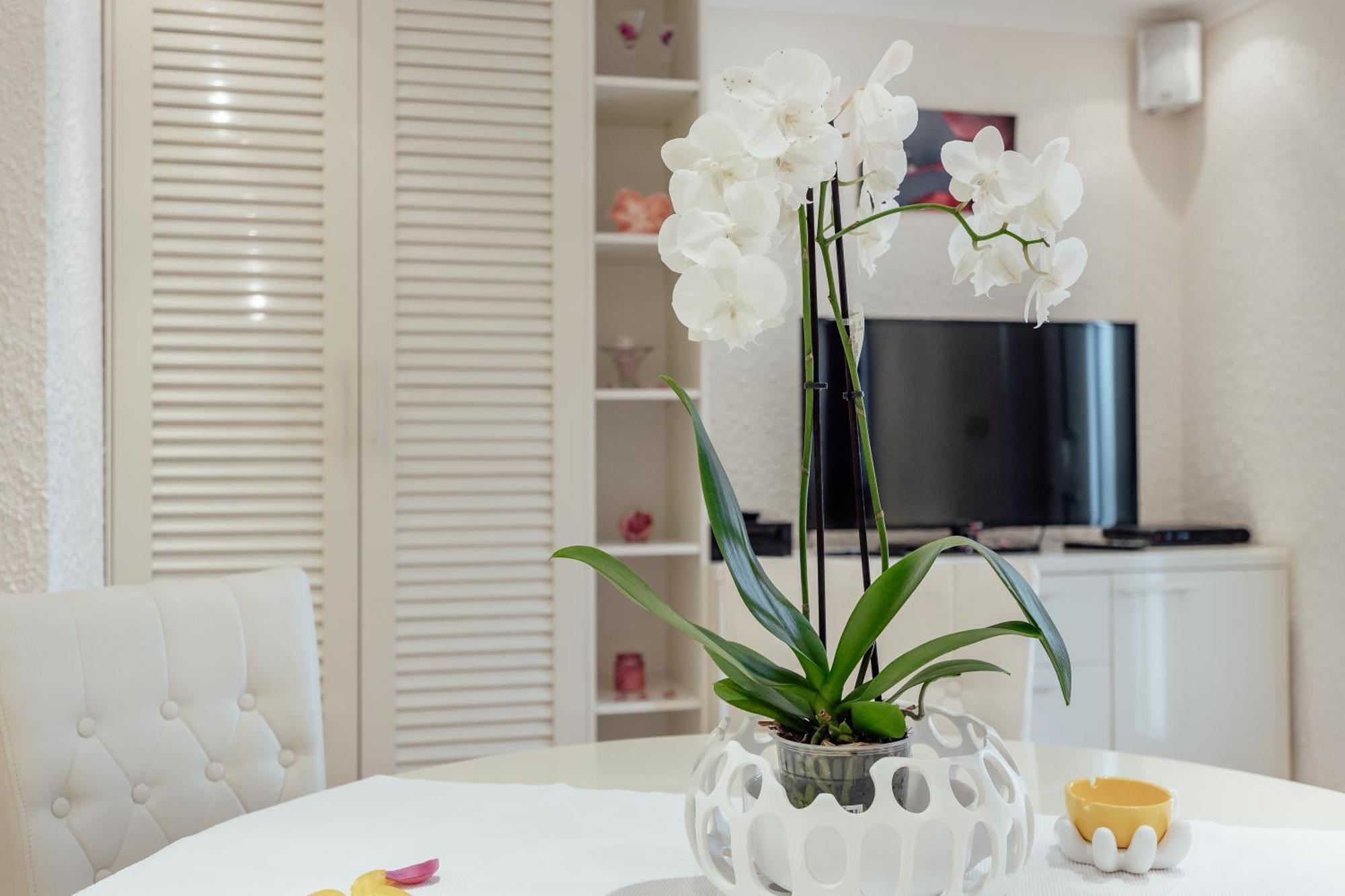 Apartments Porobic Херцег Нови Екстериор снимка